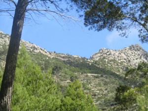 IMG_5035 (Medium)